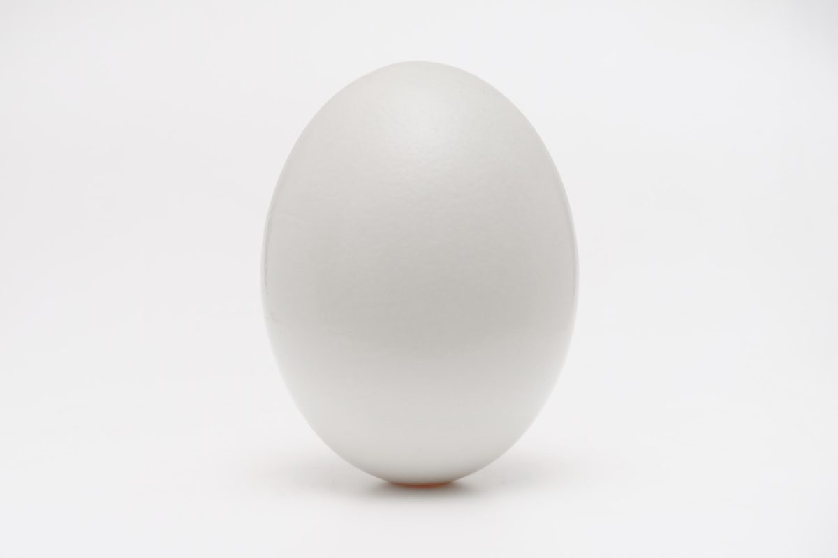 white egg on white surface